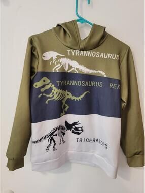 Kids Dinosaur Hoodie with Tyrannosaurus and Triceratops Print
